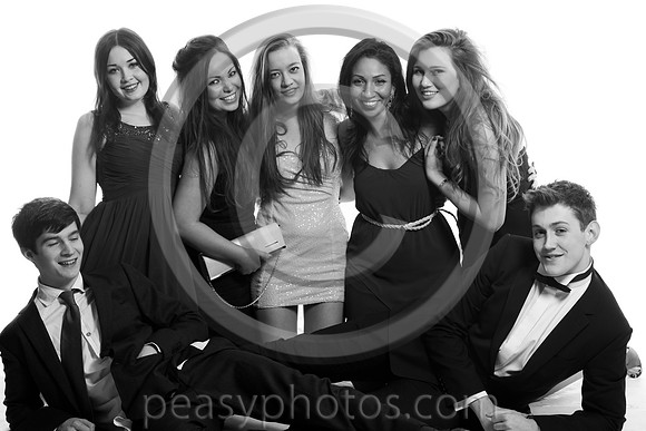 0688-BW-20130318NL