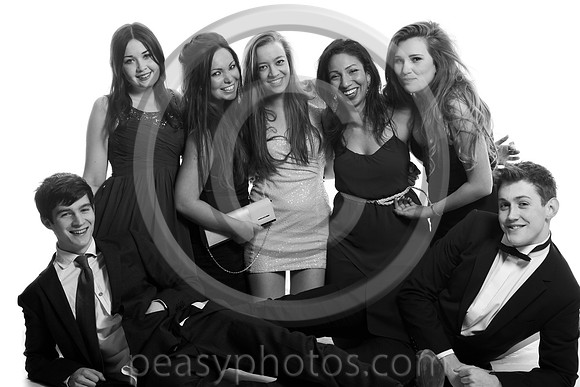 0690-BW-20130318NL