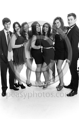0683-BW-20130318NL