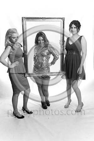 8003-BW-20130308NS