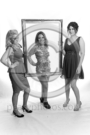 8004-BW-20130308NS