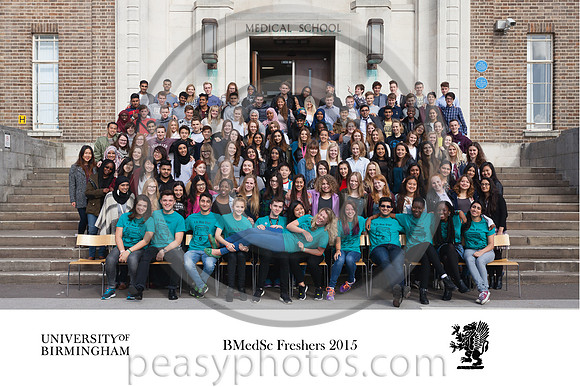 9838 BMedSci Fun