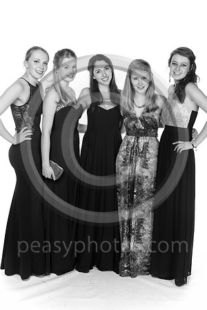 4011-BW-20140215W