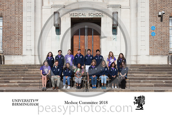 4138 Medsoc Committee 2
