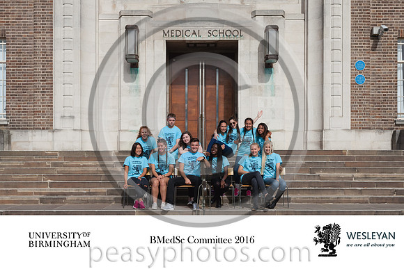 1429 BMedSc Committee B